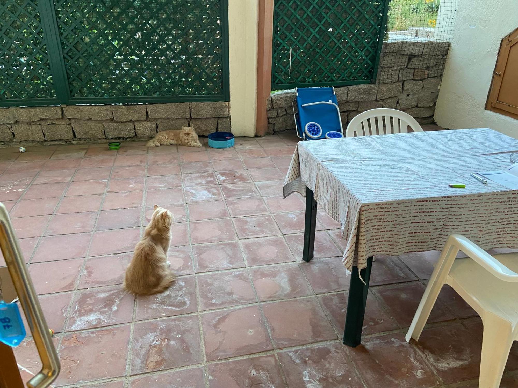 Club Esse Residence Capo D'Orso Palau Dış mekan fotoğraf