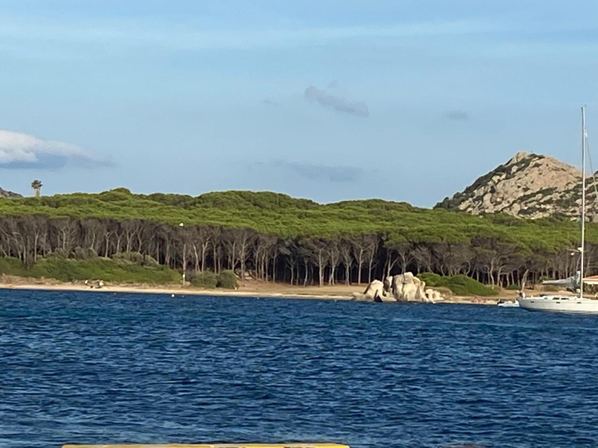 Club Esse Residence Capo D'Orso Palau Dış mekan fotoğraf